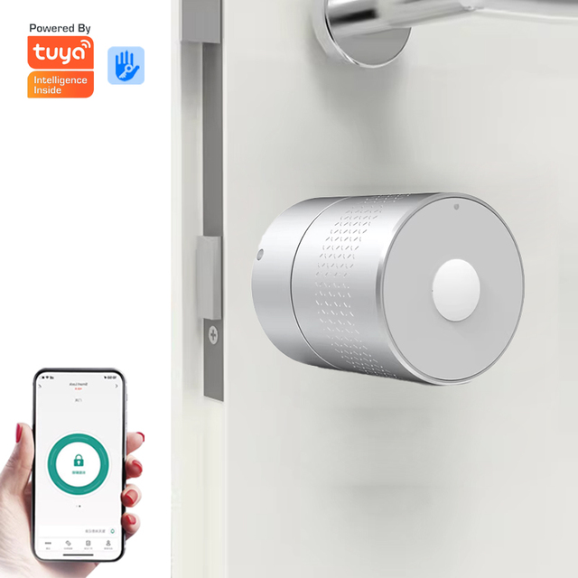 Security Electric Digital Tuya Smart Lock WiFi
