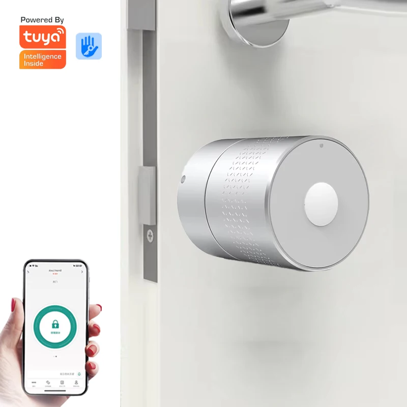 Security Electric Digital Tuya Smart Lock WiFi