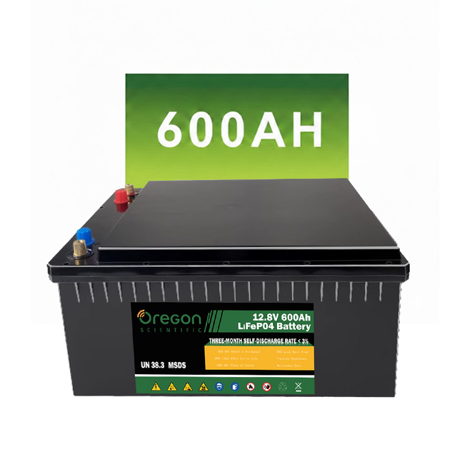 Best Selling LiFePO4 Inverter Lithium Battery 12V 100Ah