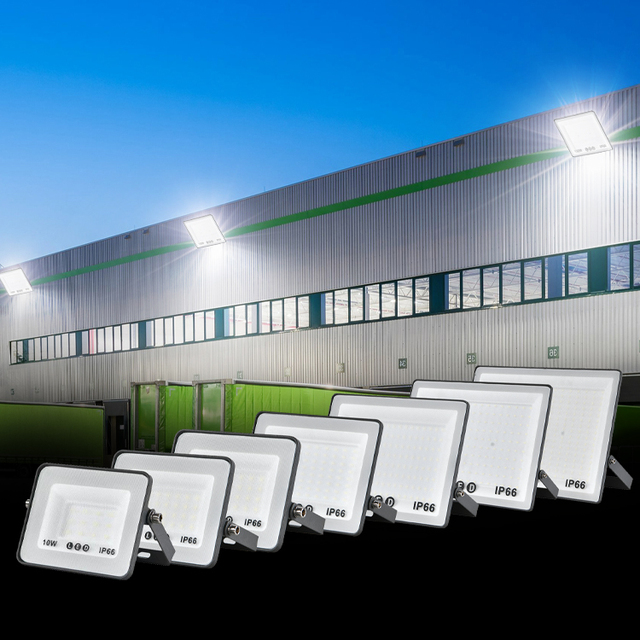 China Suppliers IP66 Aluminum 10W to 100W LED Floodlight