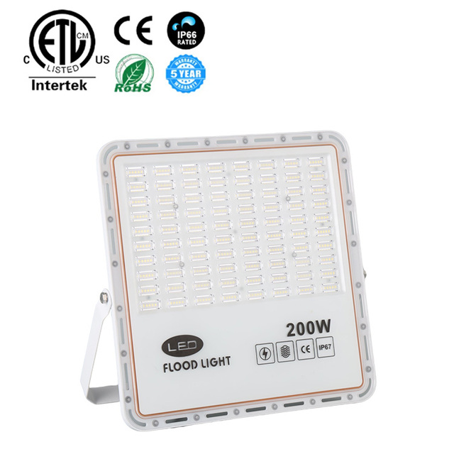 Professional IP66 High Performance LED Flood Light