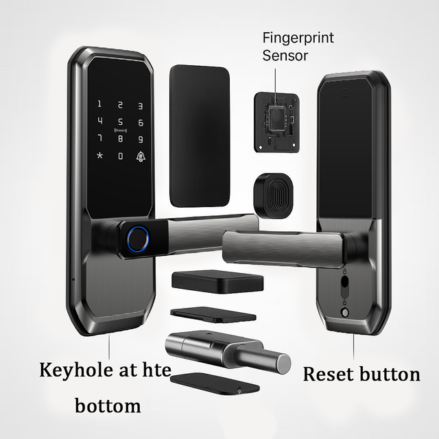 Factory Price Smart Locks TTlock Tuya WiFi